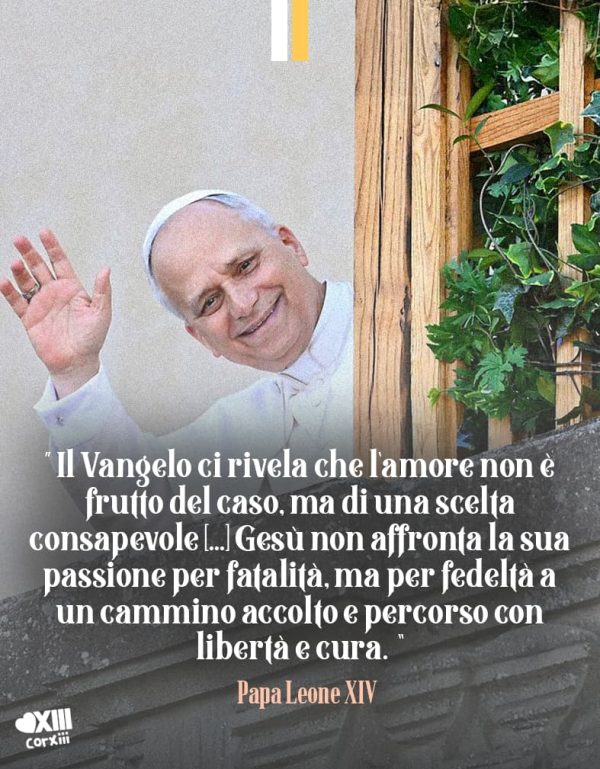 Citazione Papa Leone XIV